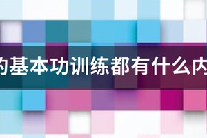 小篮球训练内容和教学视频